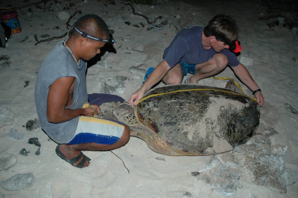 Micronesia Youth Program – BLUECOLOGY